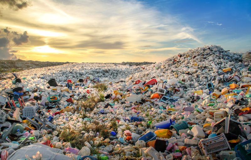 Impact du plastique sur l'environnement